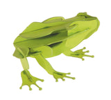 3D Frog Puzzle