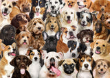 All the Dogs Jigsaw Puzzle - 1000 Pieces